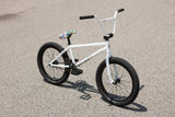 25 BICI 20 SUNDAY FORECASTER ROSS 20.5" BCO GLOSS